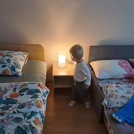 Levskig Studio 10 Min From Sofia Airport And City Centre Εξωτερικό φωτογραφία